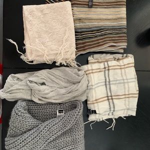 Women’s Scarves